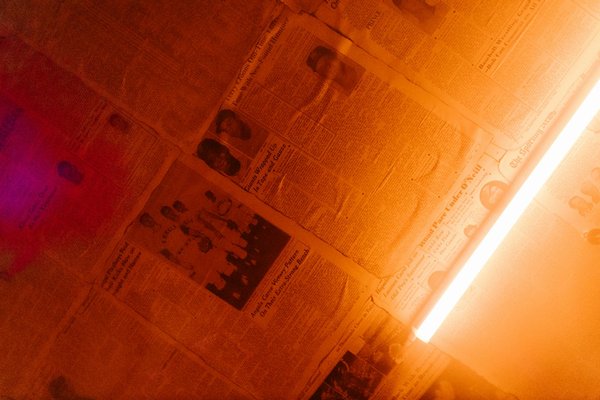 La Nature à travers les Yeux des Impressionnistes : Une Harmonie Symbiotique