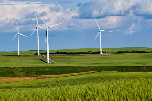 Top 5 raisons d'adopter les énergies renouvelables dès aujourd'hui